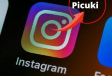 A Picuki Guide For Instagram Newbies